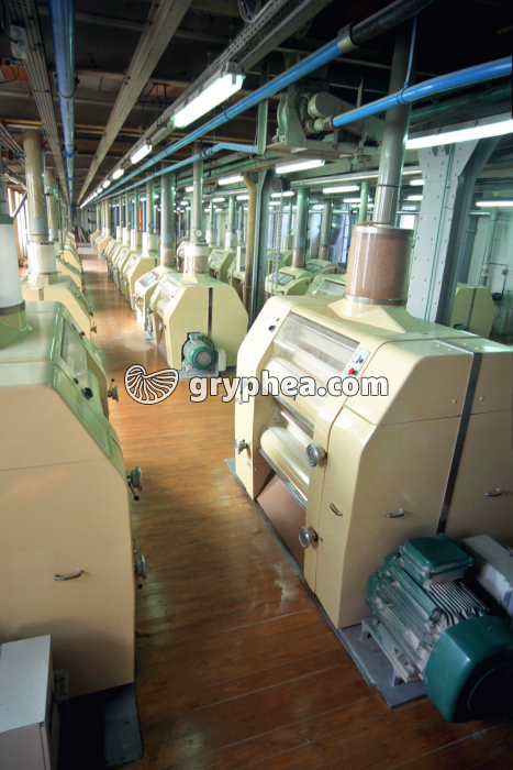 Moulins à blé produisant la farine - gryphea.com